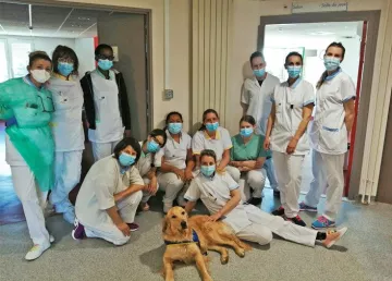 Les équipes soignantes réunies avec un chien 