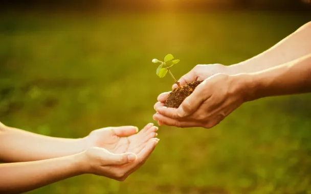 Compost Les Alchimistes